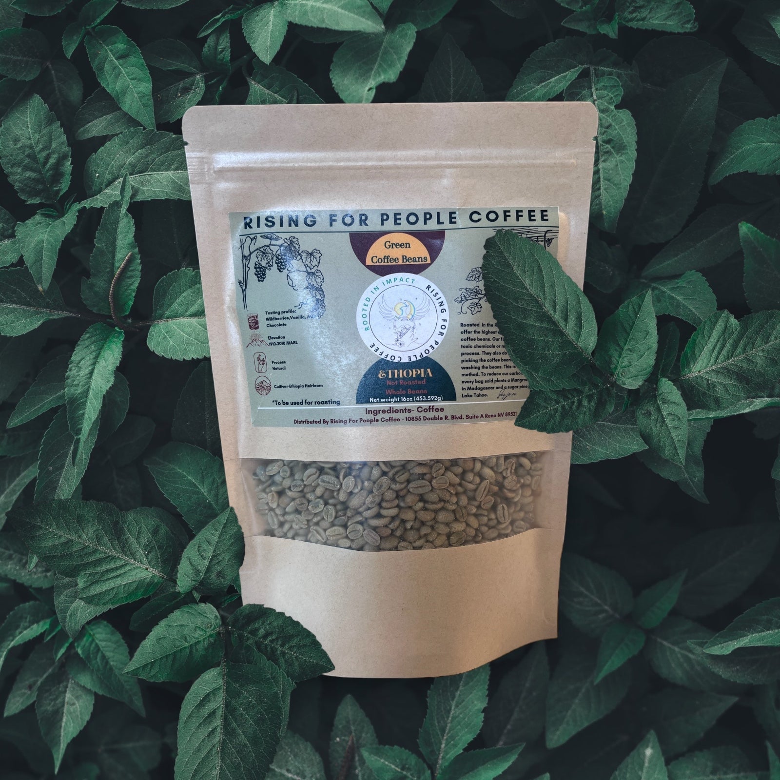 Ethiopia Natural- Green Coffee Beans